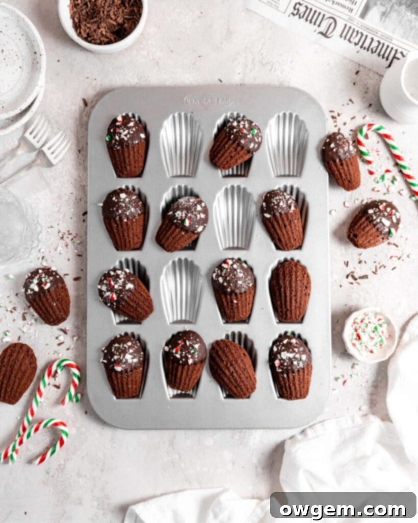 Chocolate peppermint madeleines dipped in chocolate and sprinkled with candy canes