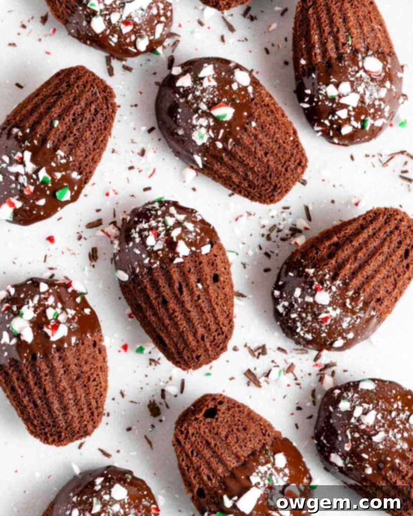 Chocolate peppermint madeleines dipped in chocolate and sprinkled with candy canes