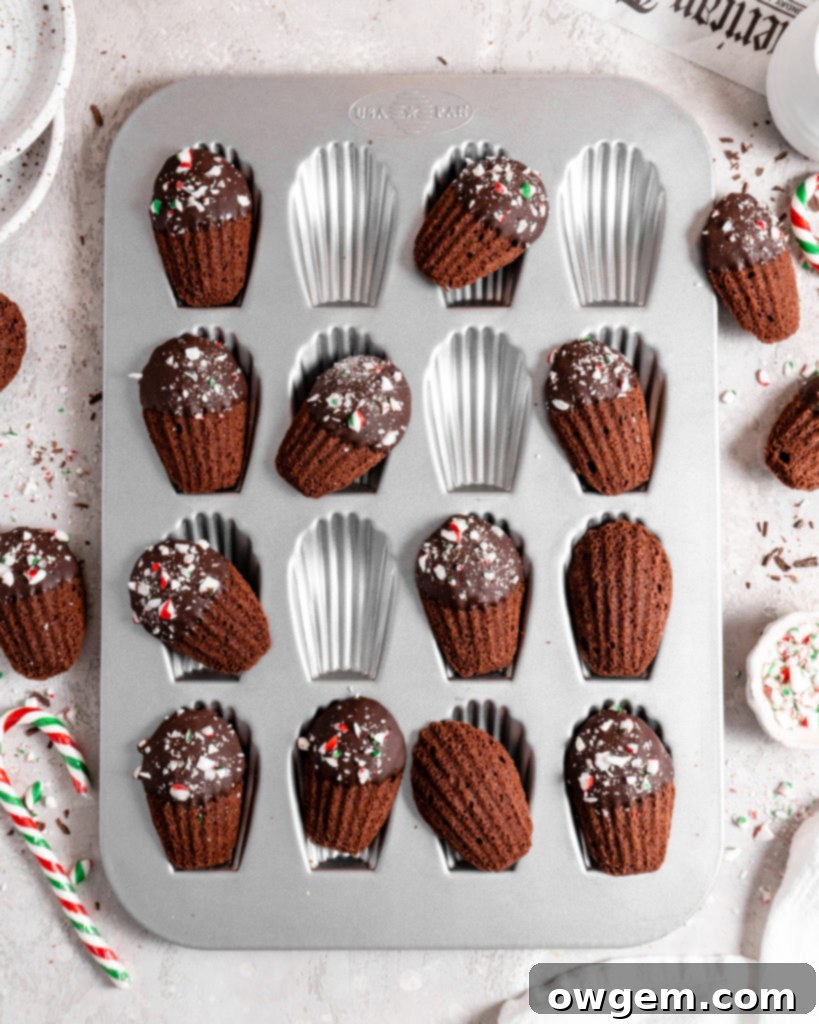 Chocolate peppermint madeleines dipped in chocolate and sprinkled with candy canes