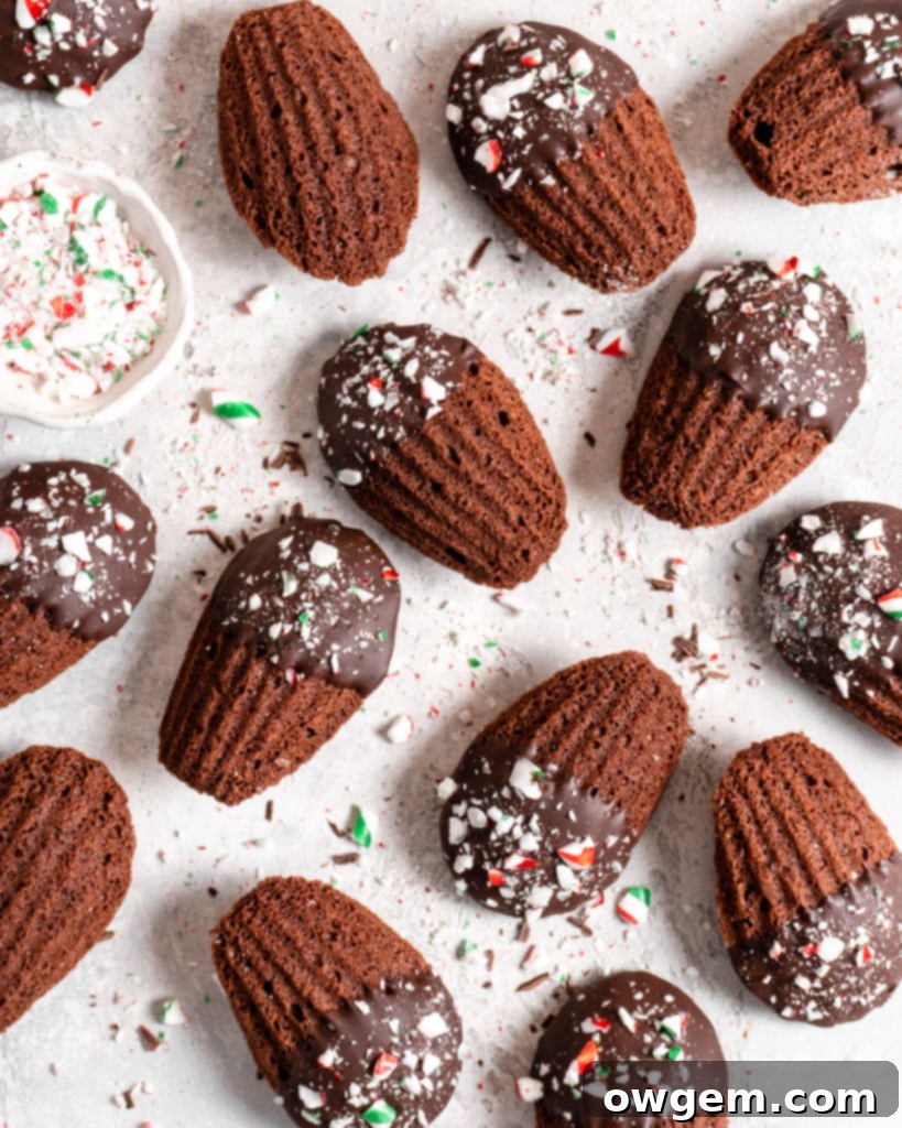 Chocolate peppermint madeleines dipped in chocolate and sprinkled with candy canes