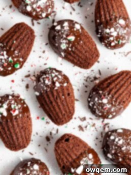 Chocolate peppermint madeleines dipped in chocolate and sprinkled with candy canes