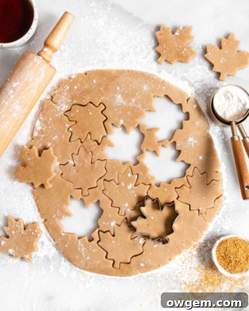maple sugar cookie rolled out dough with cut out maple leaf cookies