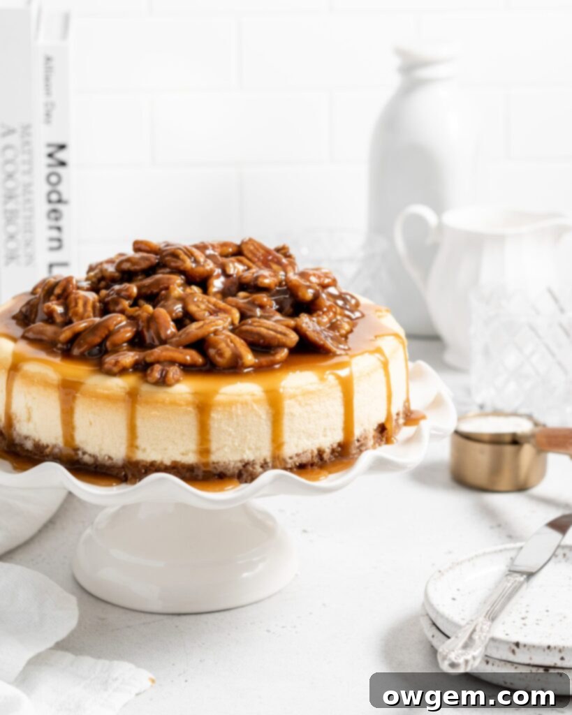 Creamy cinnamon cheesecake with caramel pecan sauce