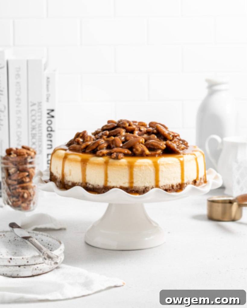 Creamy cinnamon cheesecake with caramel pecan sauce