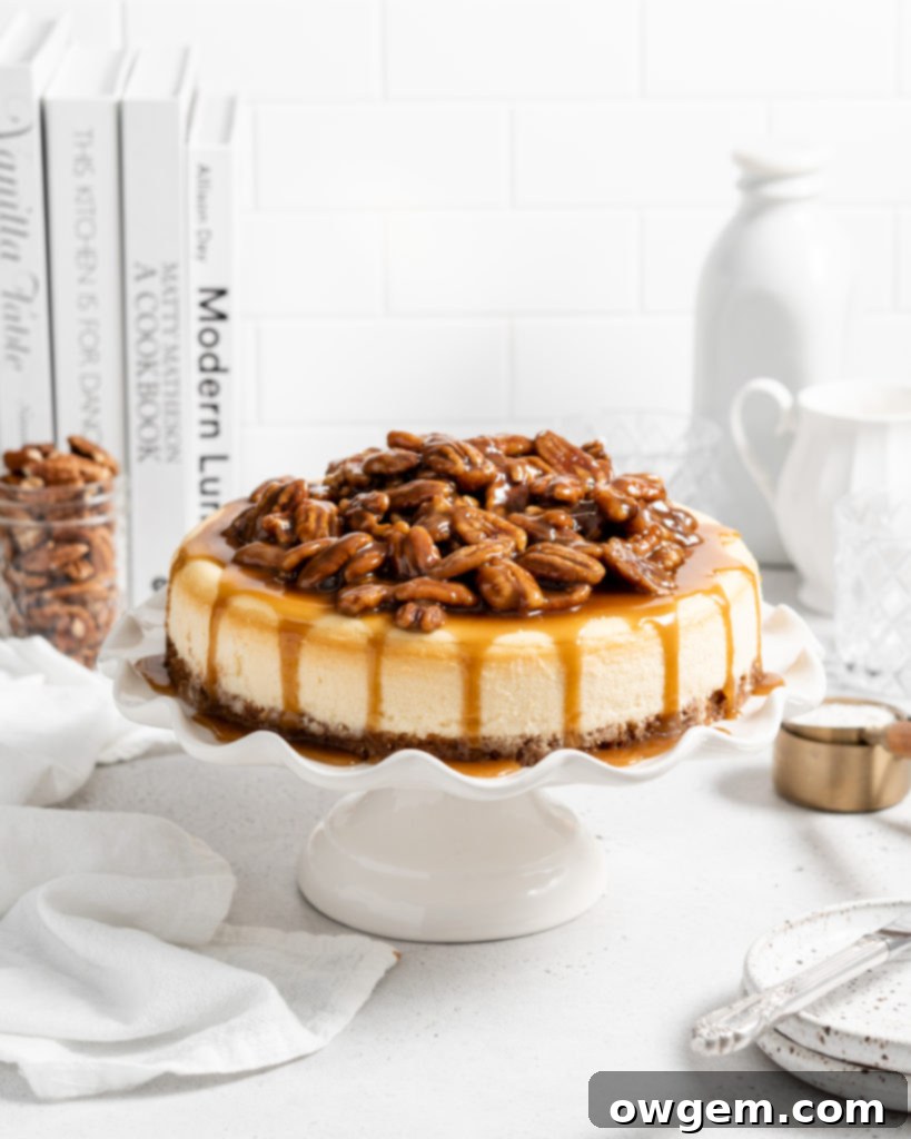 Creamy cinnamon cheesecake with caramel pecan sauce