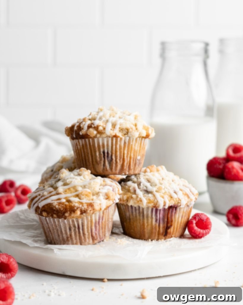 Buttermilk Raspberry Delights 2 Fluffy and tall Buttermilk Raspberry Muffins with streusel topping
