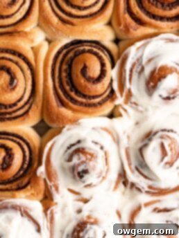 fluffy cinnamon rolls filled with peanut-free chocolate sunbutter spread to create Chocolate SunButter Cinnamon Rolls
