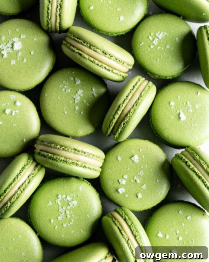 Close-up of baked matcha macaron shells