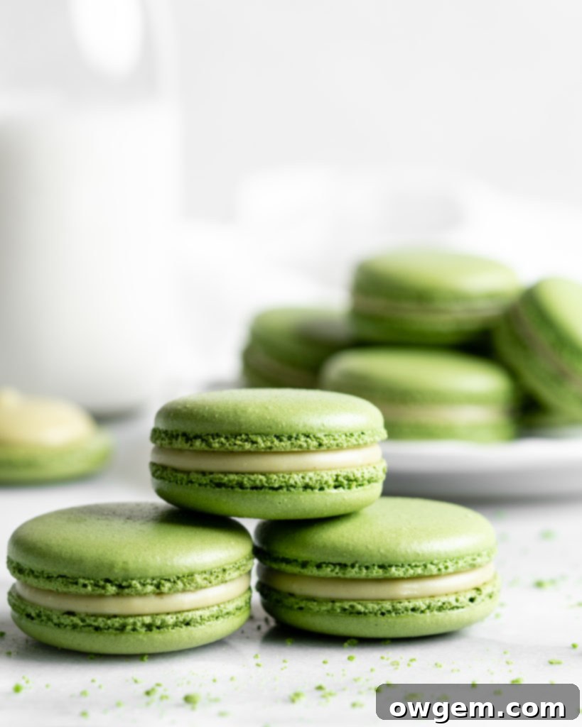 Matcha Macarons filled with green tea white chocolate ganache