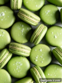 Bright green matcha macarons filled with matcha white chocolate ganache
