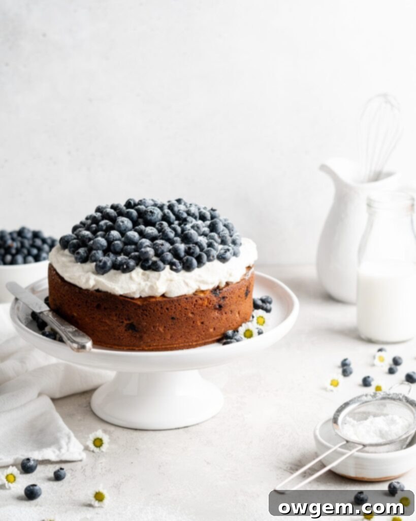 Single layer blueberry elderflower cake is topped with creamy mascarpone whipped cream and a ton of fresh, plump blueberries
