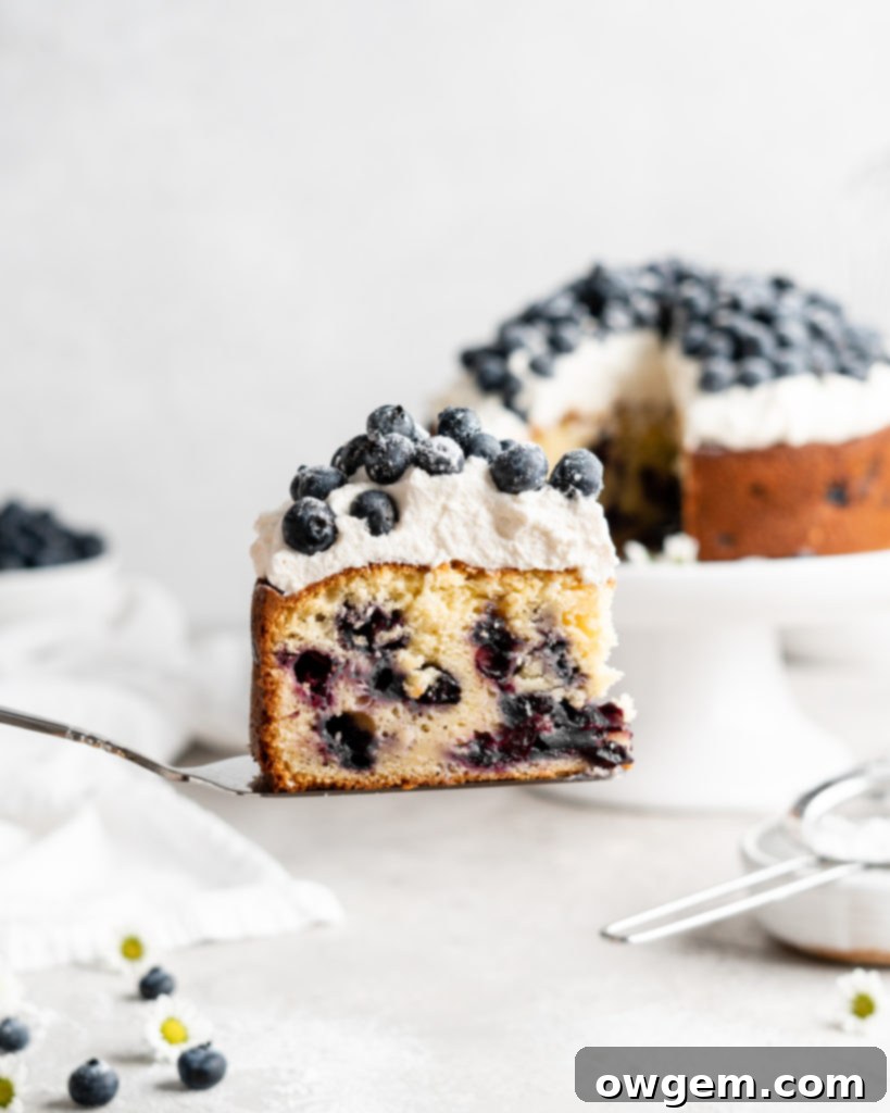 Single layer blueberry elderflower cake is topped with creamy mascarpone whipped cream and a ton of fresh, plump blueberries