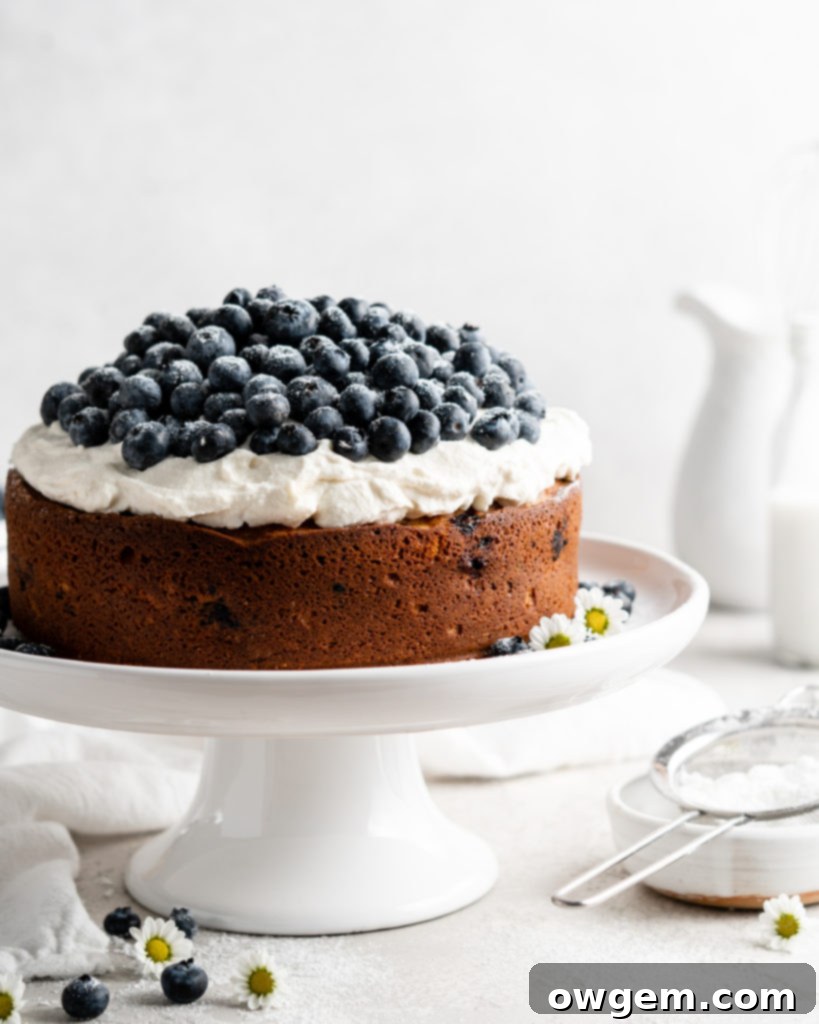 Single layer blueberry elderflower cake is topped with creamy mascarpone whipped cream and a ton of fresh, plump blueberries