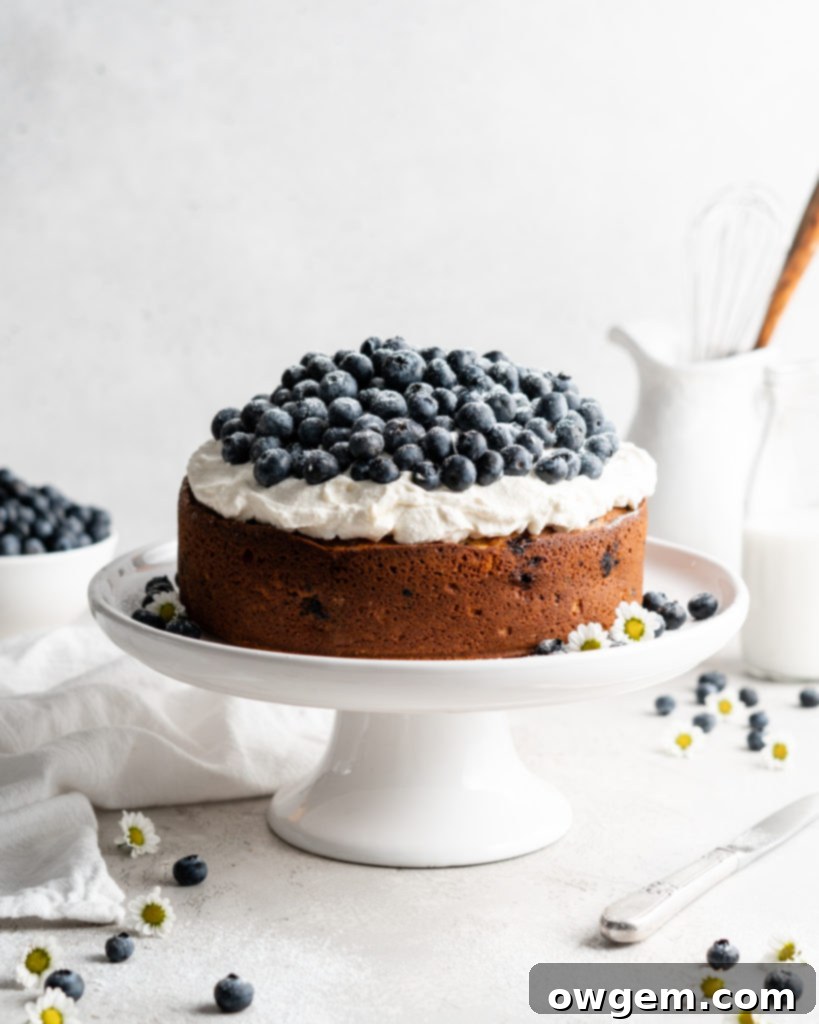 Single layer blueberry elderflower cake is topped with creamy mascarpone whipped cream and a ton of fresh, plump blueberries