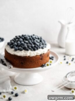 Single layer blueberry elderflower cake is topped with creamy mascarpone whipped cream and a ton of fresh, plump blueberries