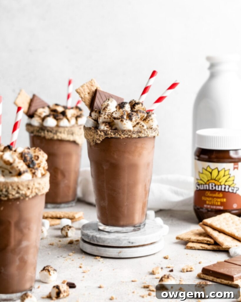 A vibrant, thick SunButter S'mores Milkshake with a golden toasted marshmallow garnish, chocolate drizzle, and graham cracker crumbs, served in a tall glass.
