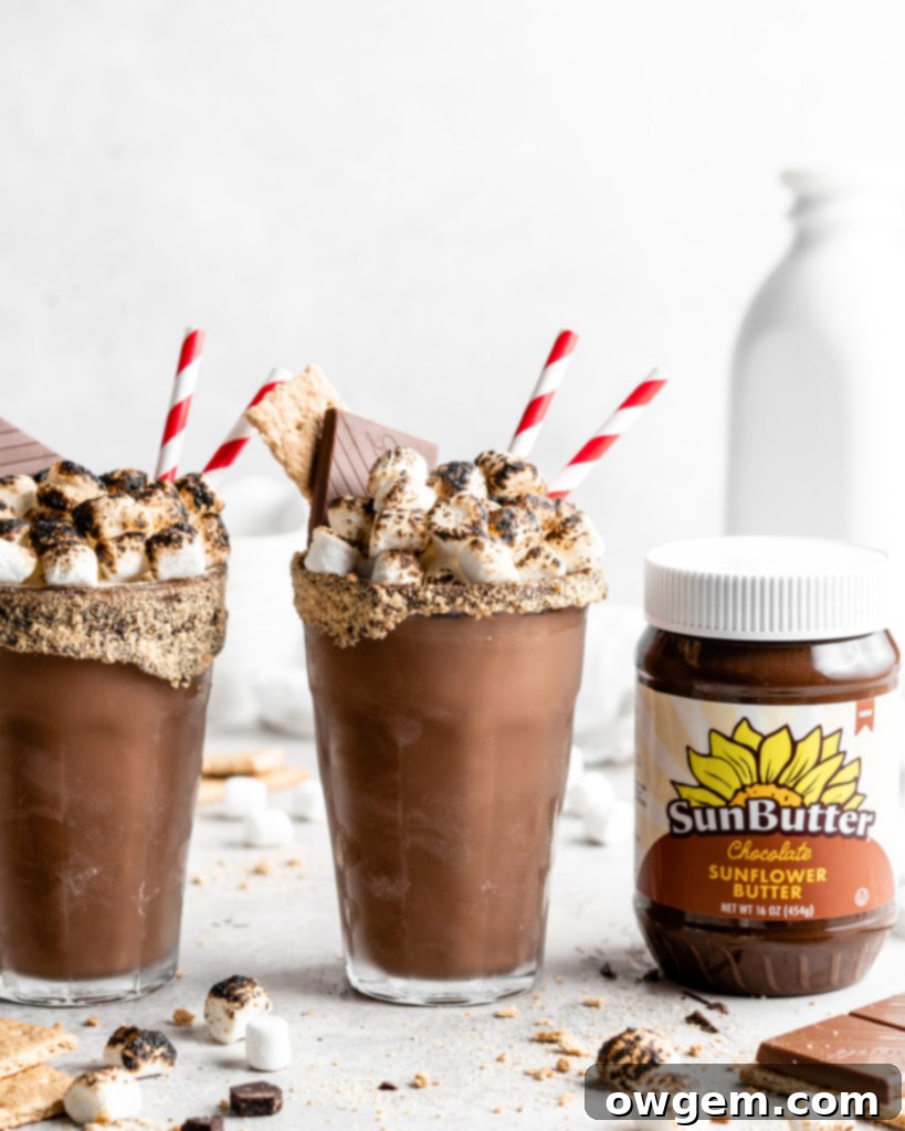 Close-up of a perfectly textured SunButter S'mores Milkshake, showing the rich chocolate hue and a dollop of toasted marshmallow on top.