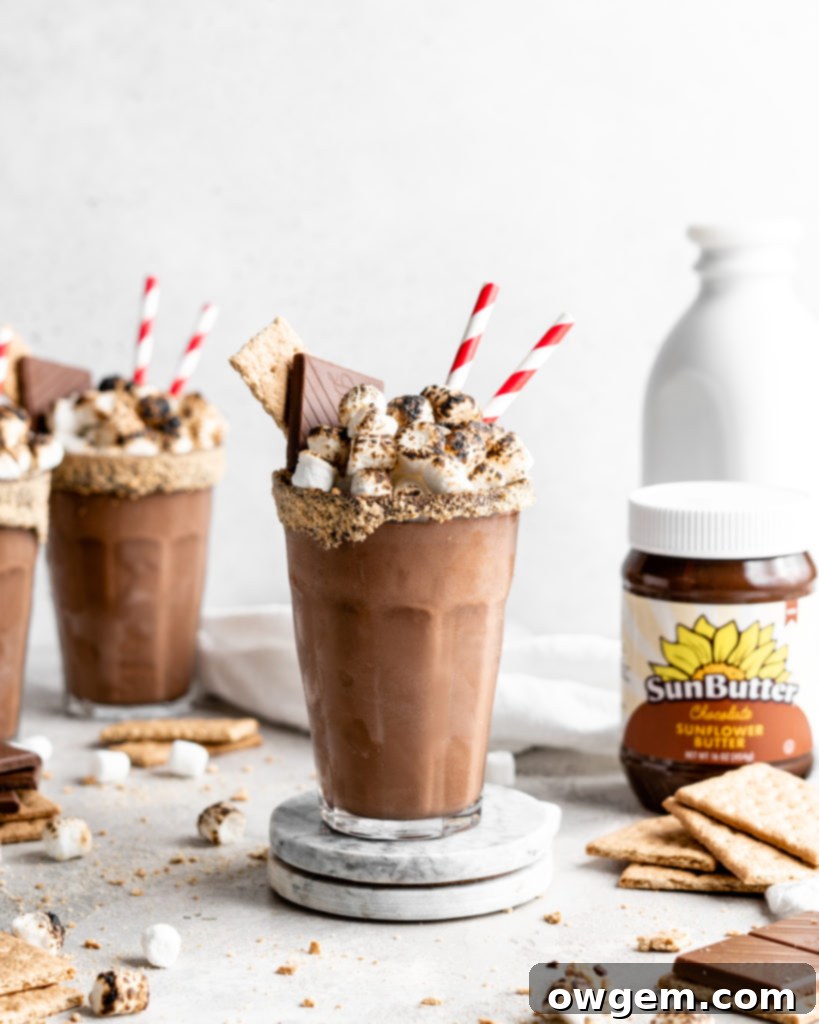 A tall glass of SunButter S'mores Milkshake, garnished with a toasted marshmallow, chocolate sauce, and crumbled graham crackers, presented on a rustic wooden surface.