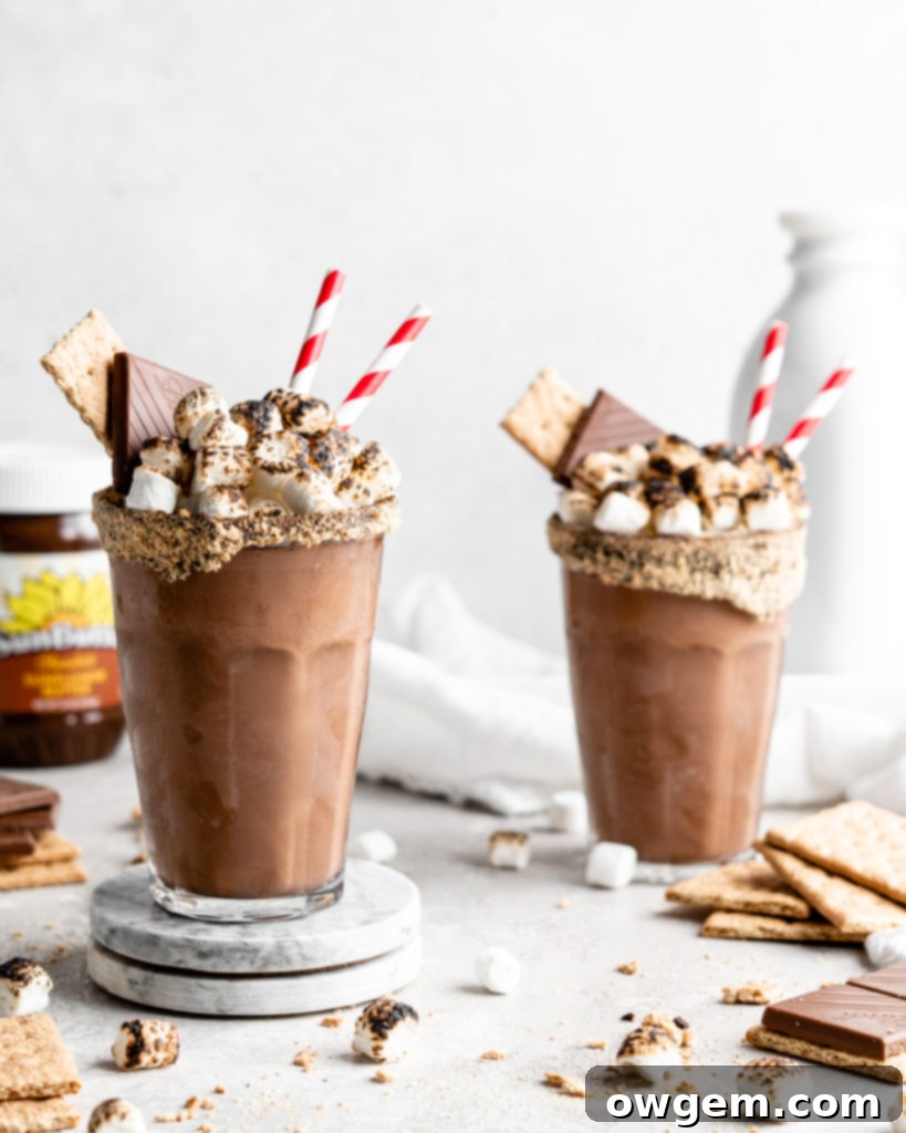 All the ingredients for the SunButter S'mores Milkshake laid out, including toasted marshmallows, graham crackers, SunButter, milk, and ice cream.
