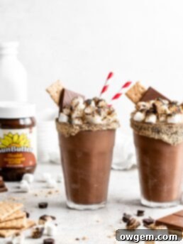 A thick SunButter S'mores Milkshake recipe card image with a toasted marshmallow and chocolate syrup.