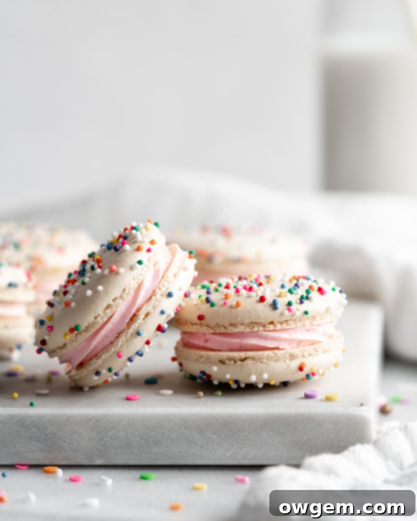 A tray of freshly piped birthday cake macaron shells, topped with colorful sprinkles, drying before baking.