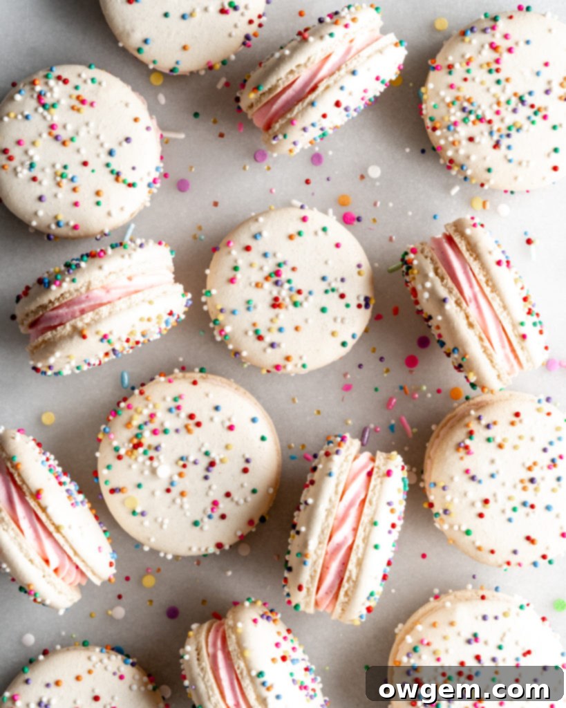 Close-up view of a baked birthday cake macaron shell, showcasing its smooth top and perfect 'feet'.