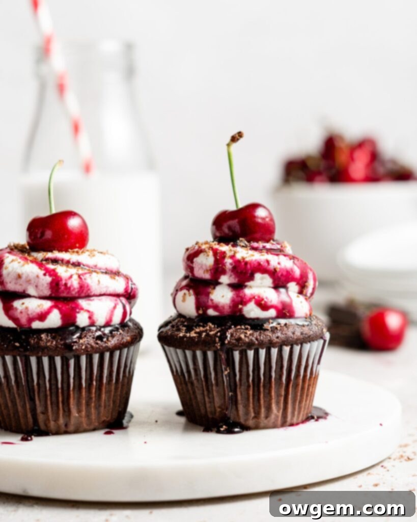 Black forest cupcake with cherry compote filling and whipped cream topping with cherry on top