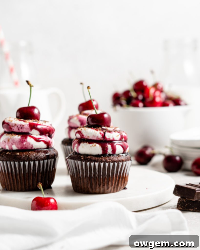Black forest cupcake with cherry compote filling and whipped cream topping with cherry on top