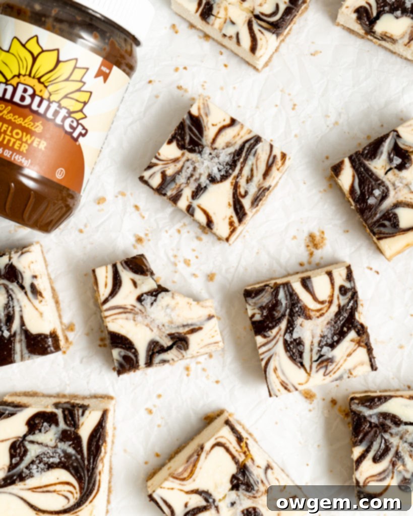 Overhead shot of Chocolate SunButter Cheesecake bars, highlighting the beautiful chocolate swirls