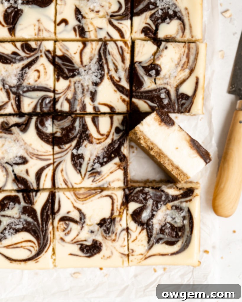 A perfectly sliced Chocolate SunButter Cheesecake bar with a clear view of the pretzel crust