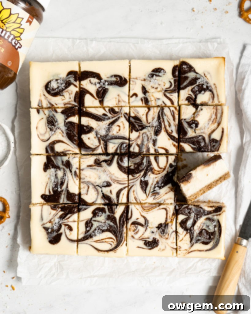A close-up of a single Chocolate SunButter Cheesecake bar, showing the intricate chocolate swirl patterns