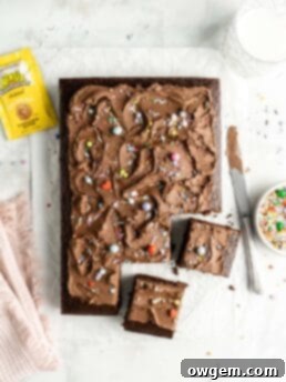 Chocolate Sheet Cake with SunButter Chocolate Buttercream topped with sprinkles