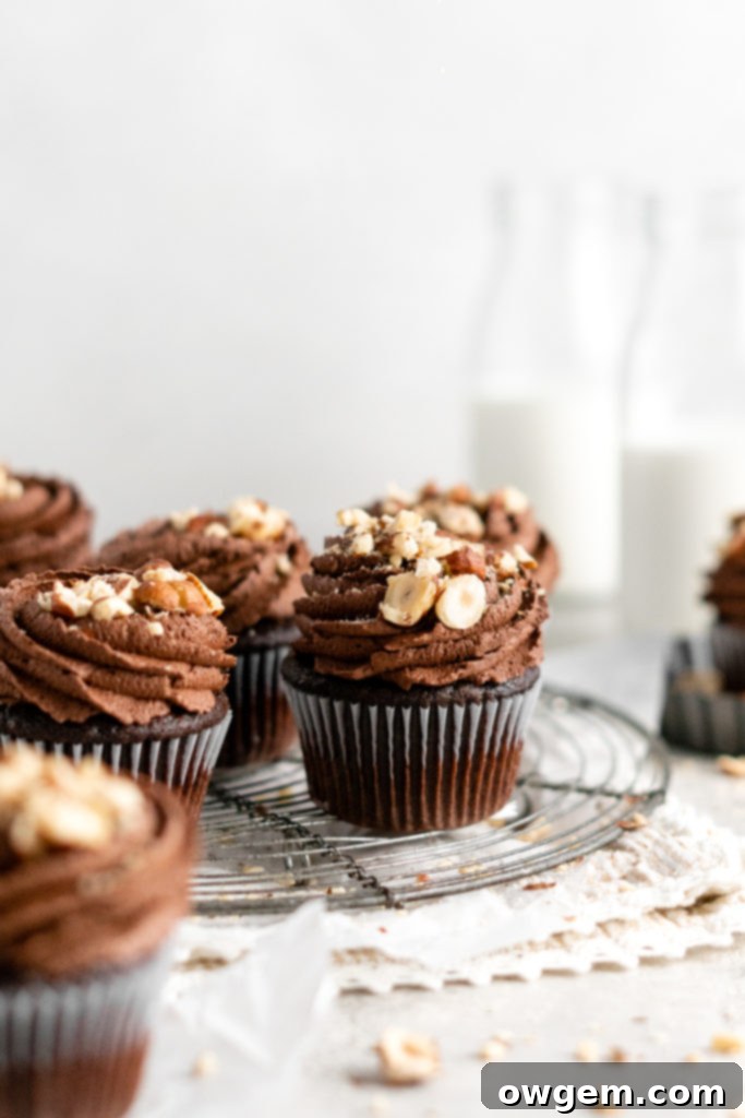 Chocolate Hazelnut Nutella Cupcakes with Nutella Frosting and crushed hazelnuts