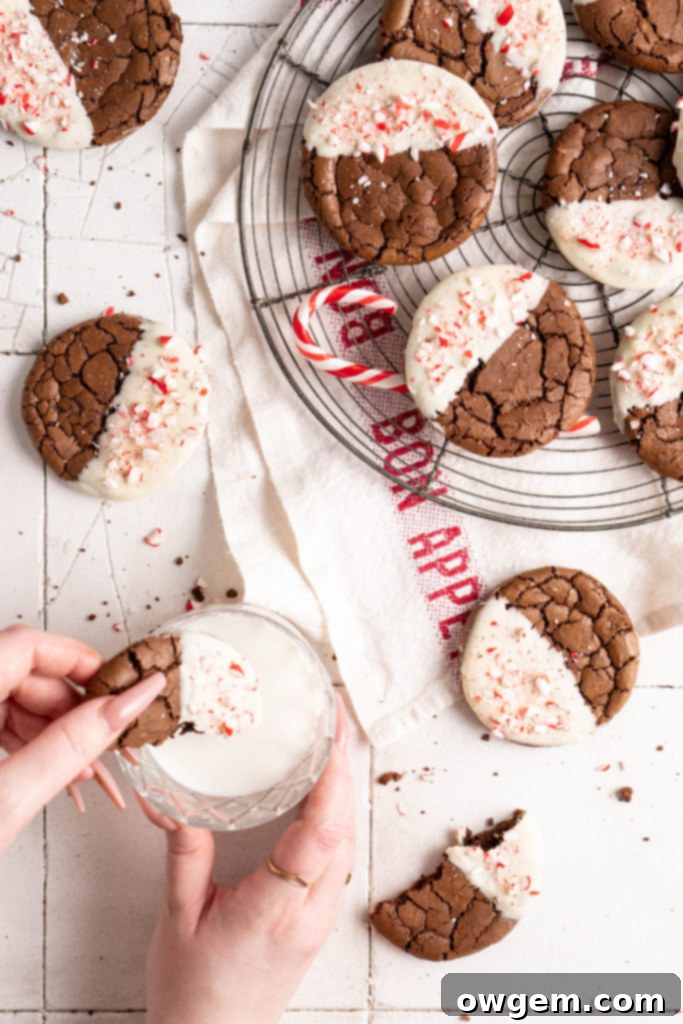 Crinkly fudgy chocolate peppermint brownie cookies dipped in white chocolate and sprinkled with crushed candy canes