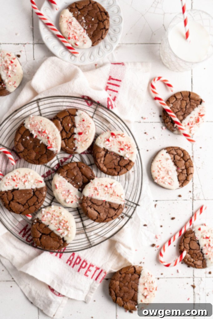 Crinkly fudgy chocolate peppermint brownie cookies dipped in white chocolate and sprinkled with crushed candy canes