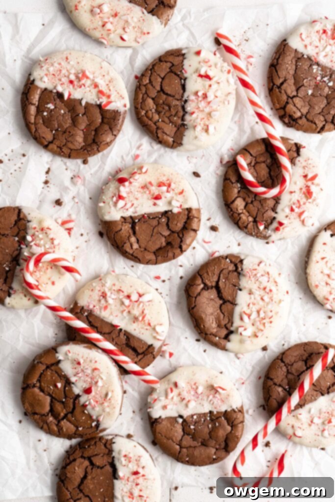 Crinkly fudgy chocolate peppermint brownie cookies dipped in white chocolate and sprinkled with crushed candy canes