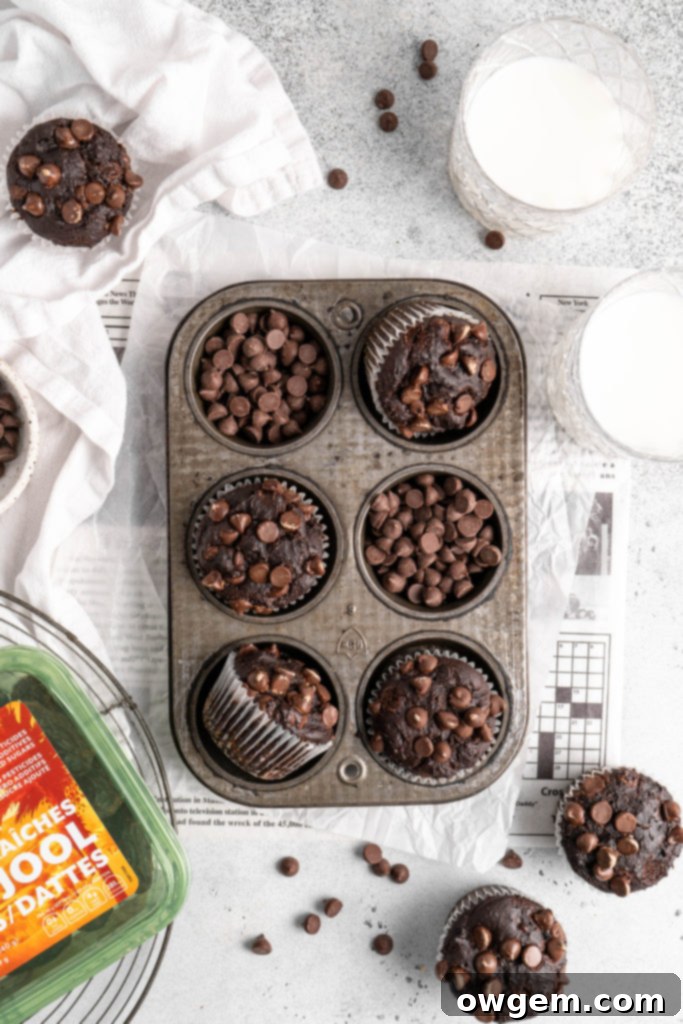 Delicious and healthy Double Chocolate Chip Muffins made with natural Medjool dates