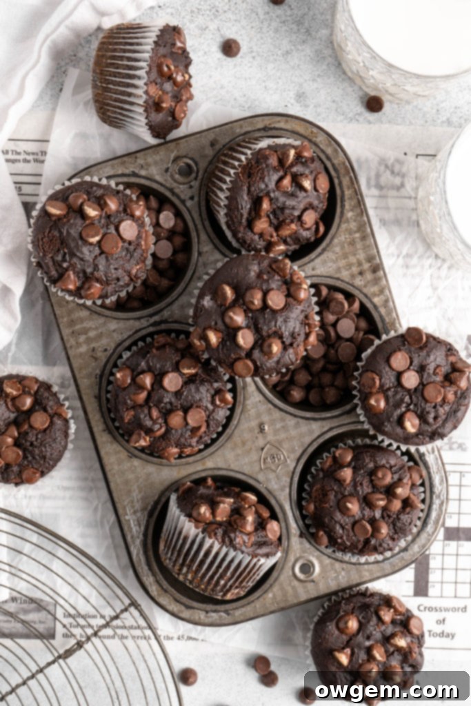 Decadent Double Chocolate Muffins 5 Fluffy Double Chocolate Chip Muffins are made with dates, making them refined-sugar free