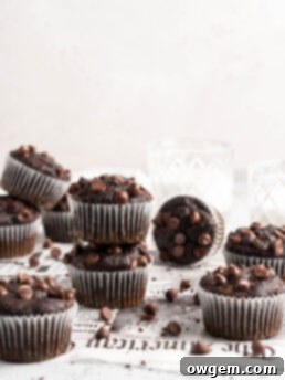 Decadent Double Chocolate Muffins 9 Fudgy Double Chocolate Chip Muffins made with Medjool dates, a healthy and refined sugar-free recipe