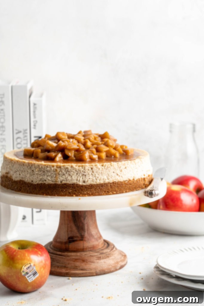 A beautifully presented slice of apple spice cheesecake with compote, ready to eat