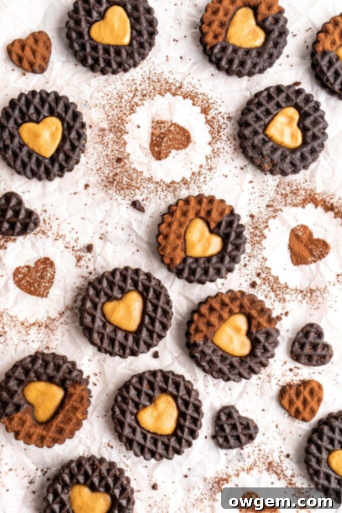 Close-up of baked chocolate sugar cookies, rich in color, waiting to be assembled into delicious cookie sandwiches.