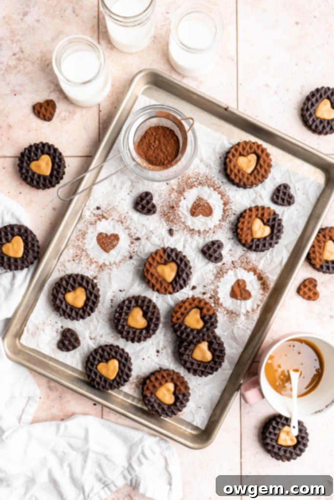The process of preparing chocolate cookie dough, rolled out between parchment paper, ready for cutting into shapes for cookie sandwiches.