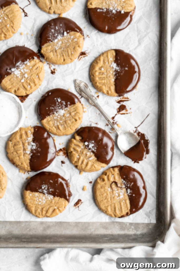 Chocolate dipped chewy SunButter cookies