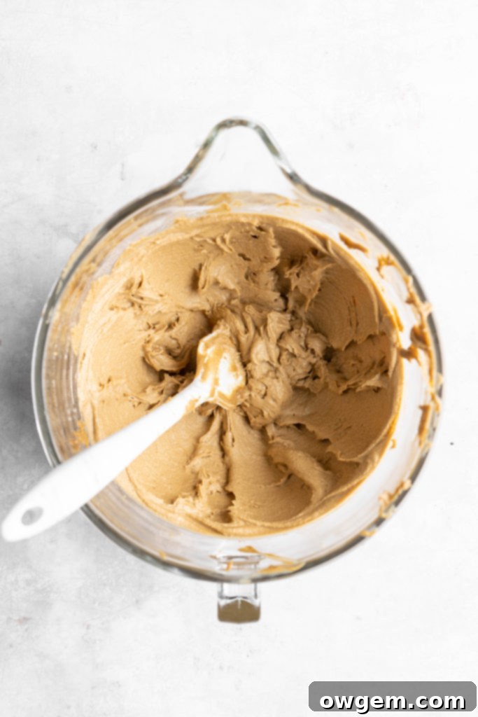 Creamed SunButter, butter and sugar in a stand mixer bowl