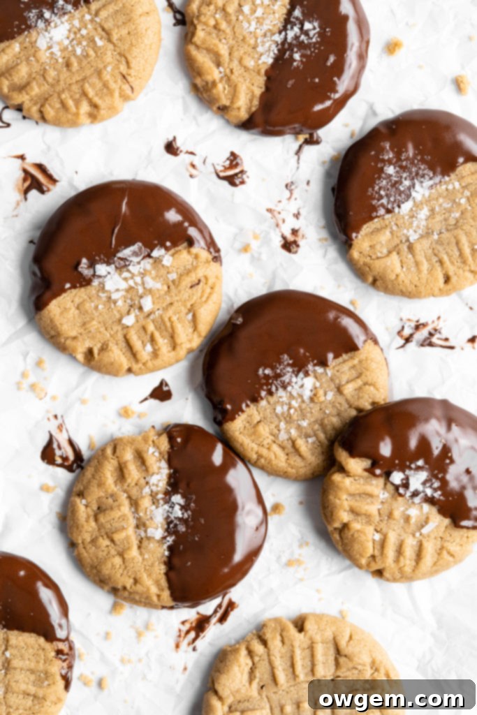 Chocolate dipped chewy SunButter cookies