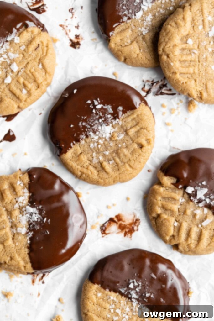 Chocolate dipped chewy SunButter cookies