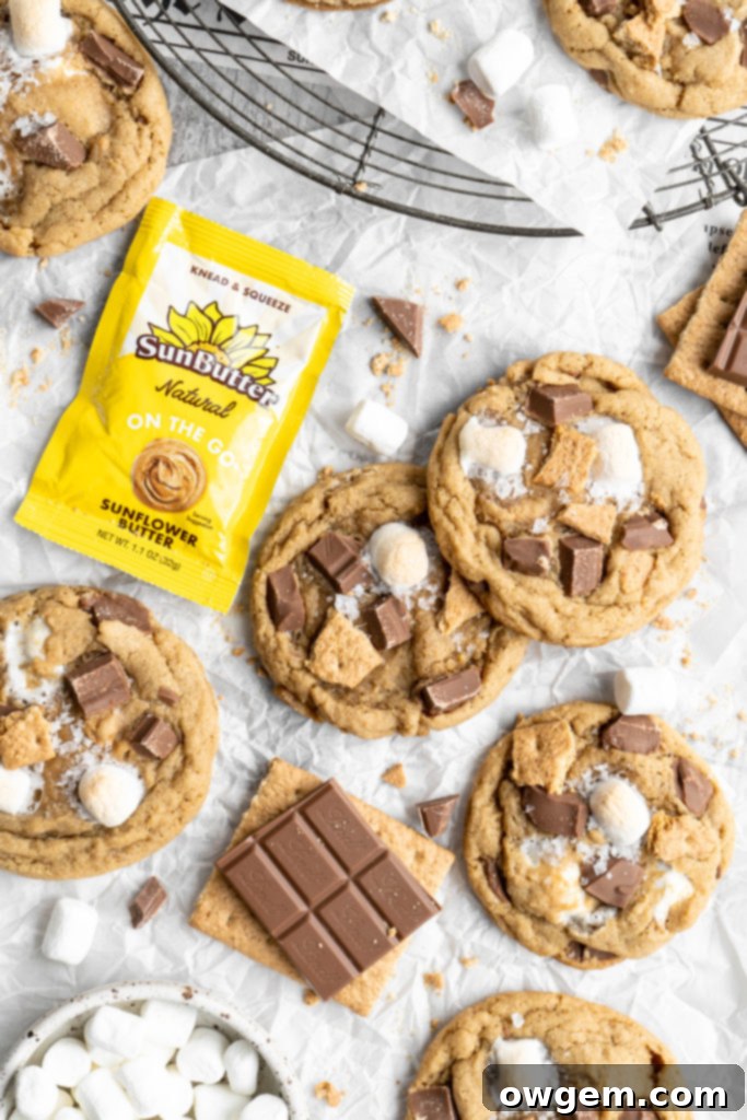 Close-up of baked SunButter S'mores cookies showcasing melted chocolate and toasted marshmallows, a perfect nut-free treat.