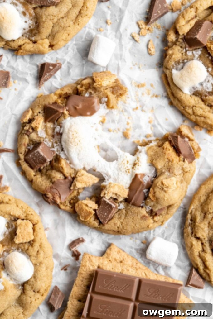 Freshly baked SunButter S'mores cookies on a cooling rack, featuring golden edges and soft, chewy centers with visible s'mores ingredients.