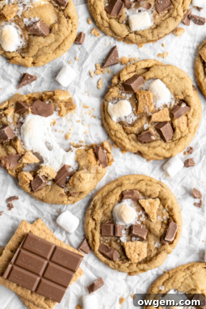 Close-up of a perfectly baked SunButter S'mores cookie with a thick, chewy center and melty chocolate and marshmallows.