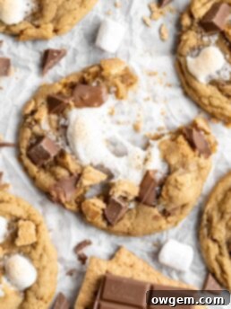 Easy SunButter S'mores Cookies with Graham Crackers - a delicious, peanut-free dessert.